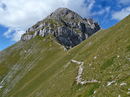 pizzo cefalone